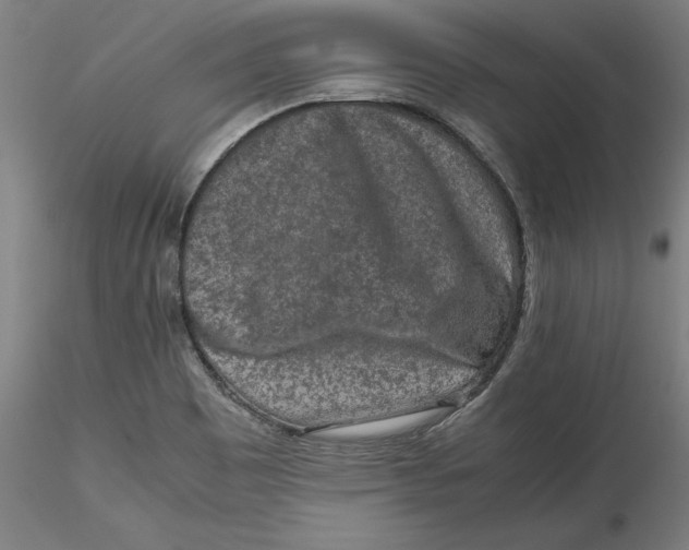 X0000115541465200911271358