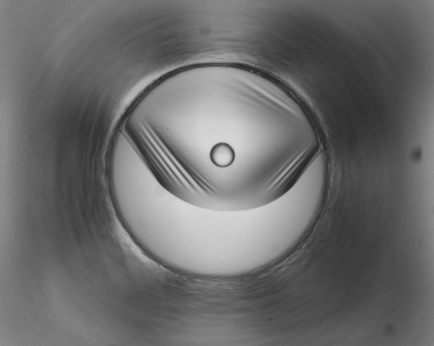 X0000115541468200911271358