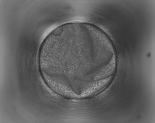 X0000115541469200911271358