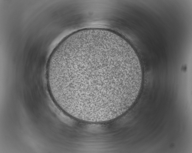 X0000115541470200911271358