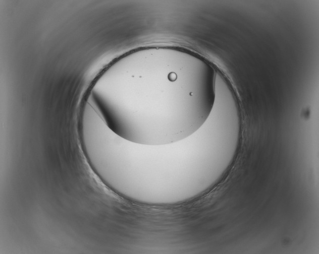 X0000115541472200911271358