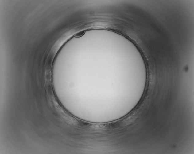 X0000115541473200911271358