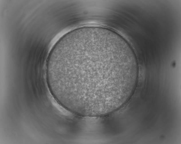 X0000115541474200911271358