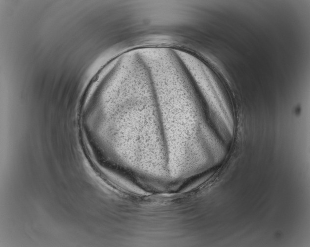 X0000115541475200911271358