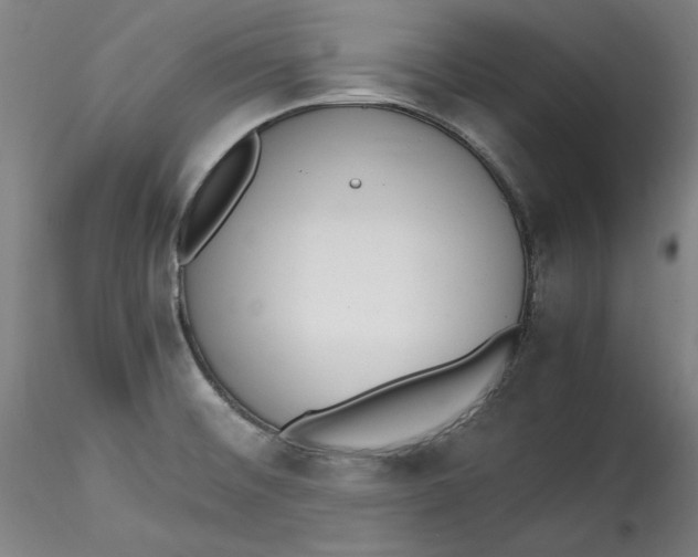 X0000115541476200911271358