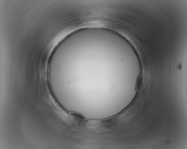 X0000115541477200911271358