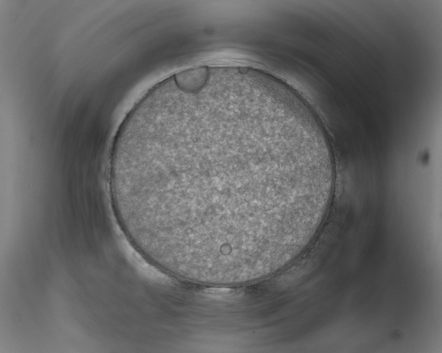 X0000115541478200911271358