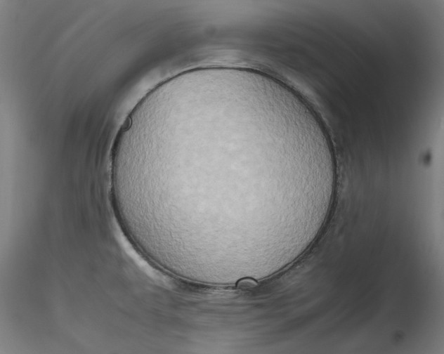 X0000115541479200911271358