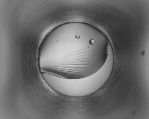 X0000115541480200911271358