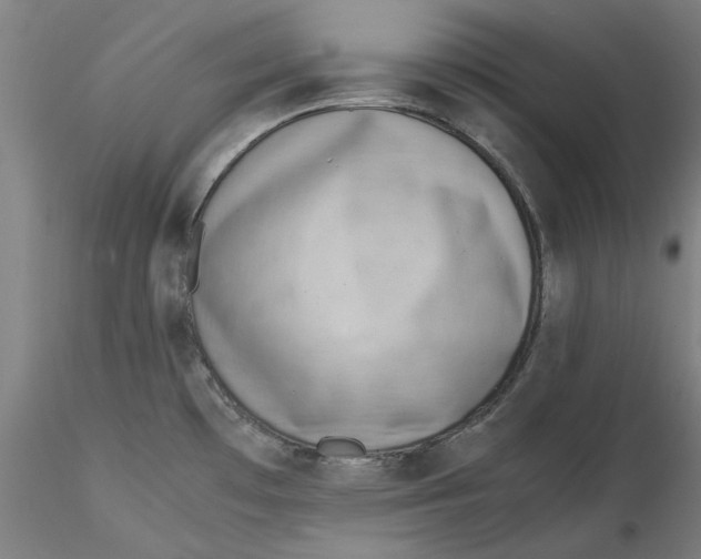 X0000115541481200911271358