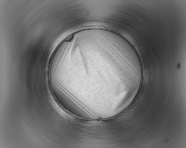 X0000115541482200911271358