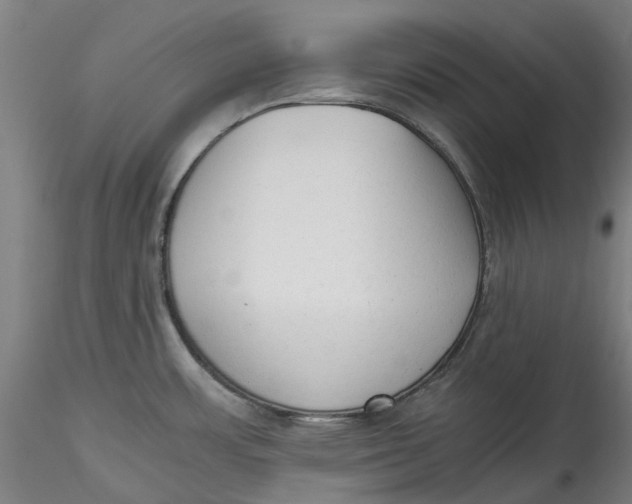 X0000115541483200911271358