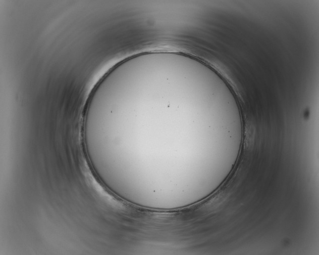 X0000115541484200911271358