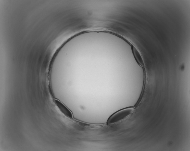 X0000115541485200911271358