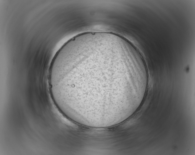 X0000115541486200911271358