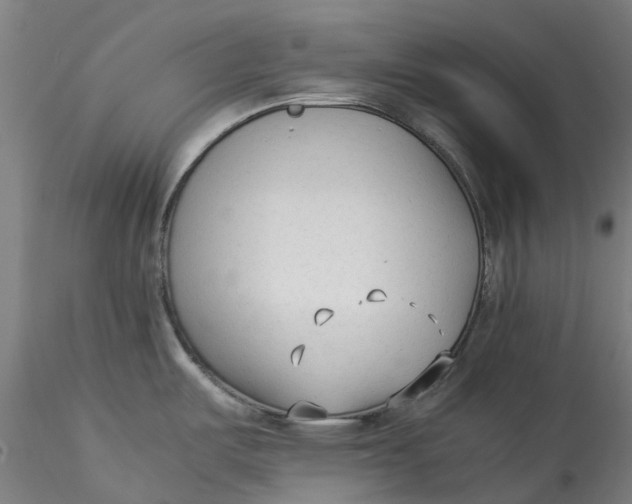 X0000115541487200911271358