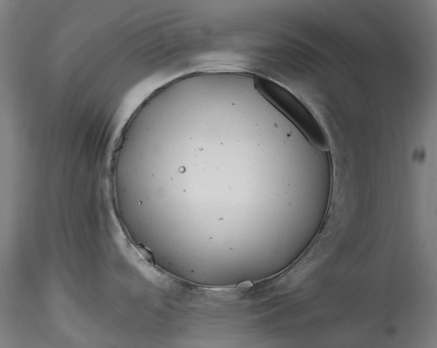 X0000115541488200911271358