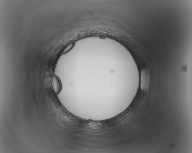 X0000115541491200911271357