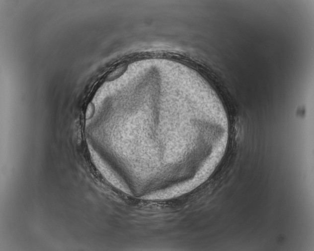 X0000115541493200911271357