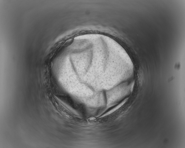 X0000115541494200911271357