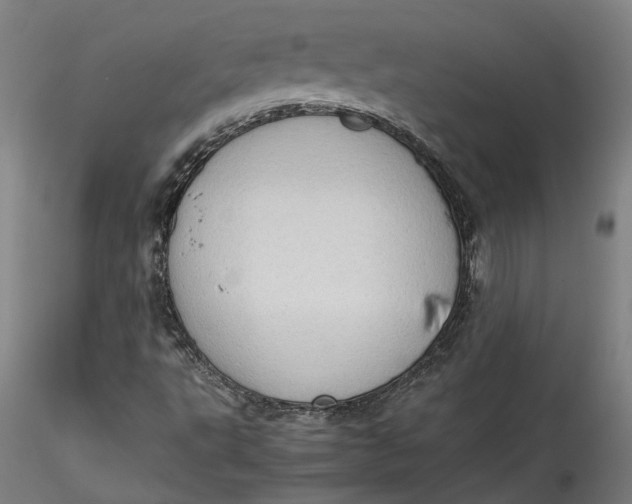 X0000115541495200911271357