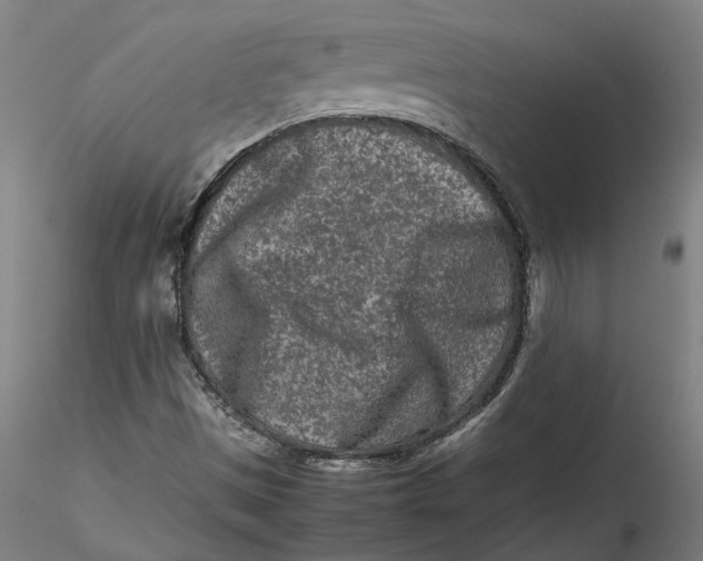 X0000115541497200911271357