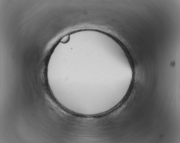 X0000115541502200911271357