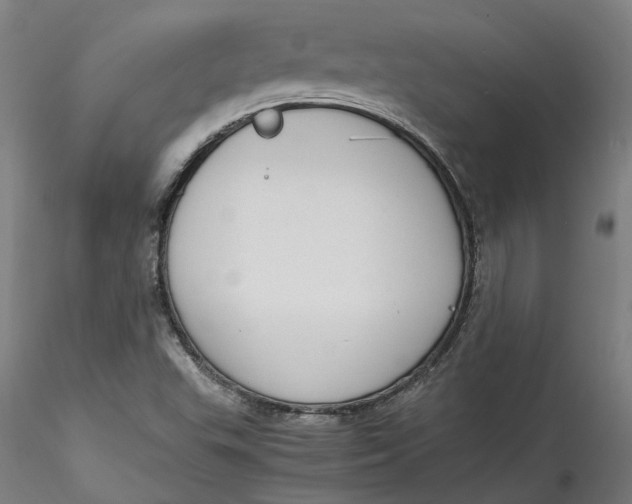 X0000115541503200911271358