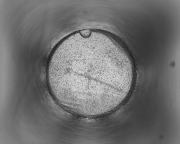 X0000115541505200911271358