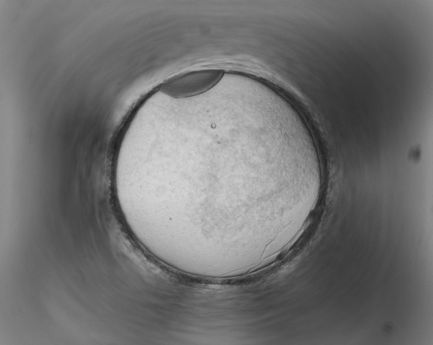 X0000115541506200911271358