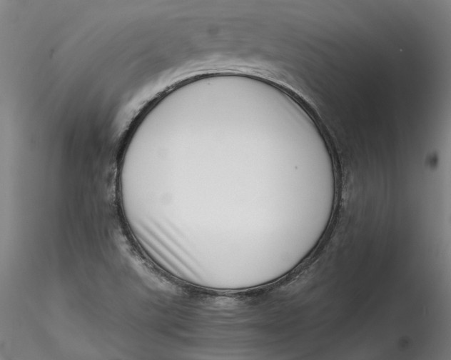 X0000115541507200911271358