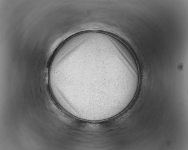 X0000115541509200911271358