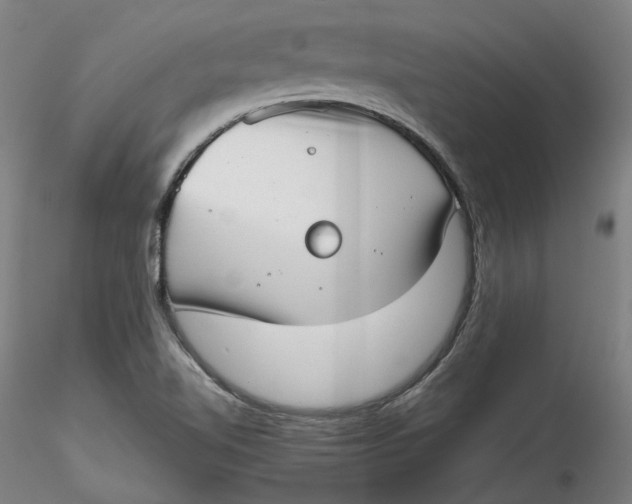 X0000115541510200911271358