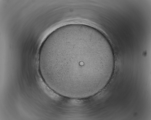 X0000115541514200911271358