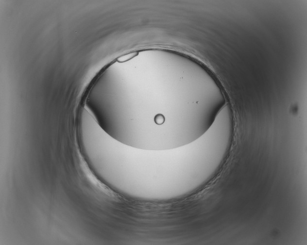 X0000115541515200911271358