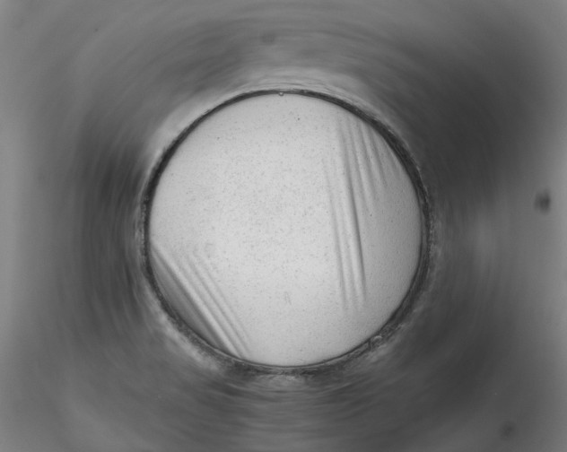 X0000115541517200911271358