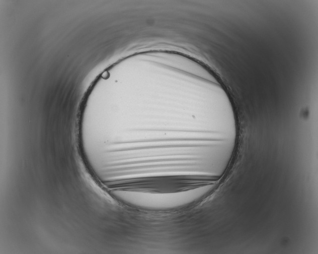 X0000115541518200911271358