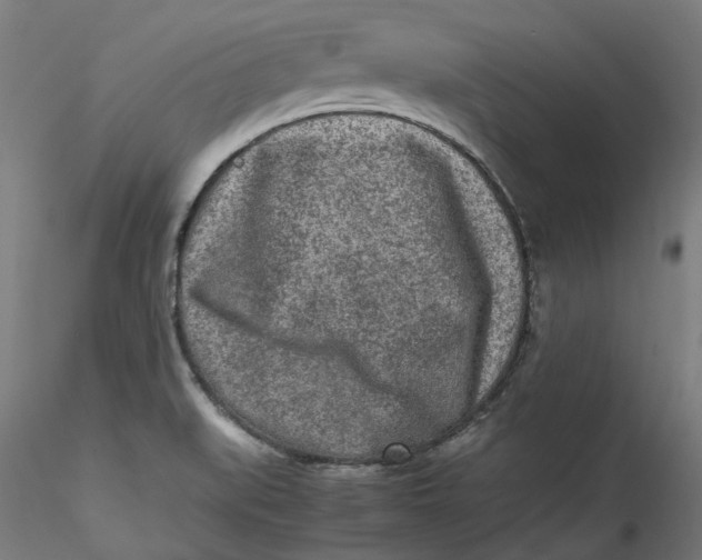 X0000115541519200911271358