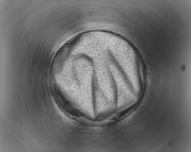 X0000115541521200911271358