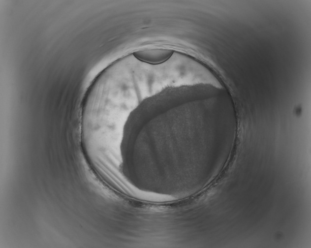 X0000115541522200911271358