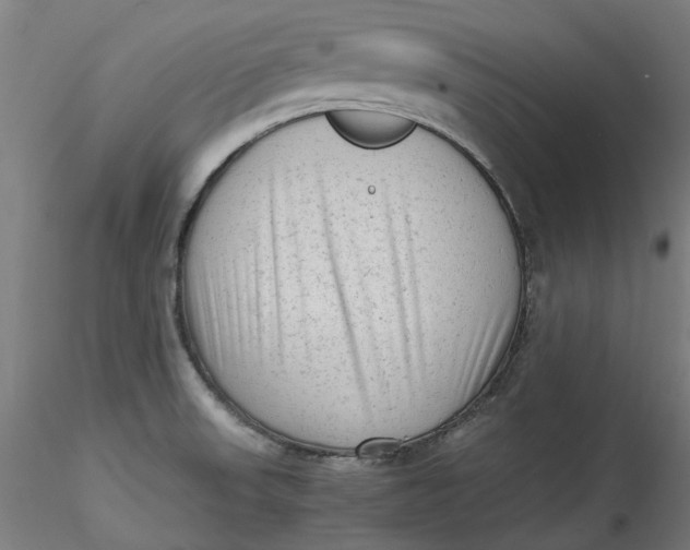 X0000115541523200911271358