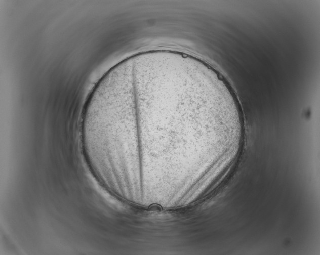 X0000115541525200911271358