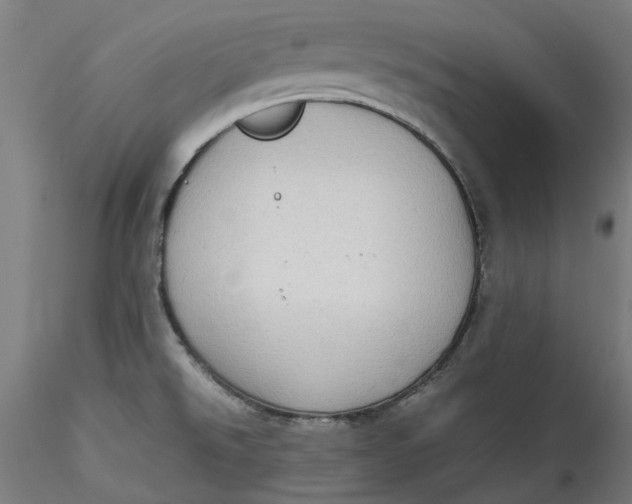 X0000115541526200911271358