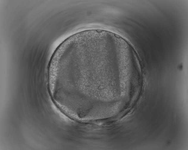 X0000115541527200911271358