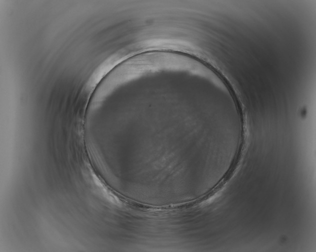 X0000115541529200911271358