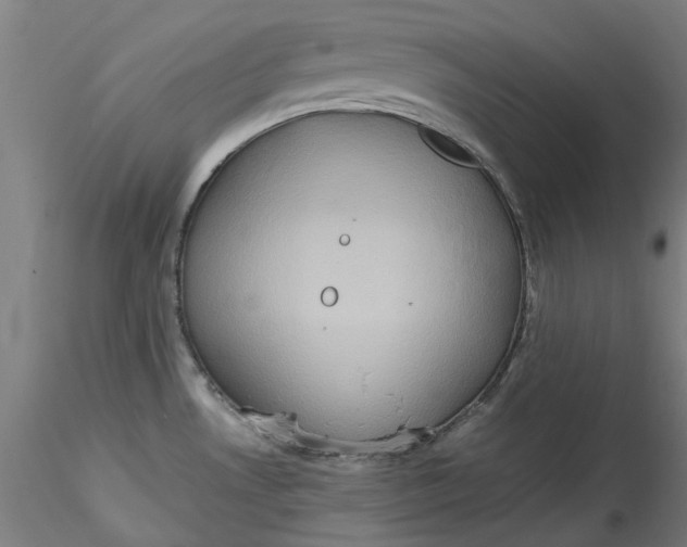 X0000115541530200911271358