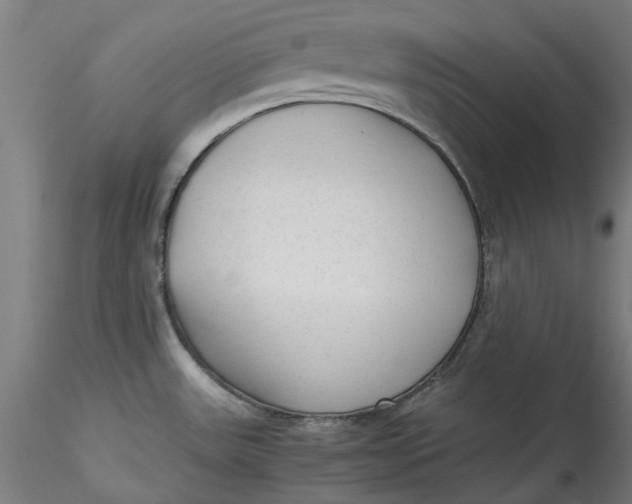 X0000115541531200911271358