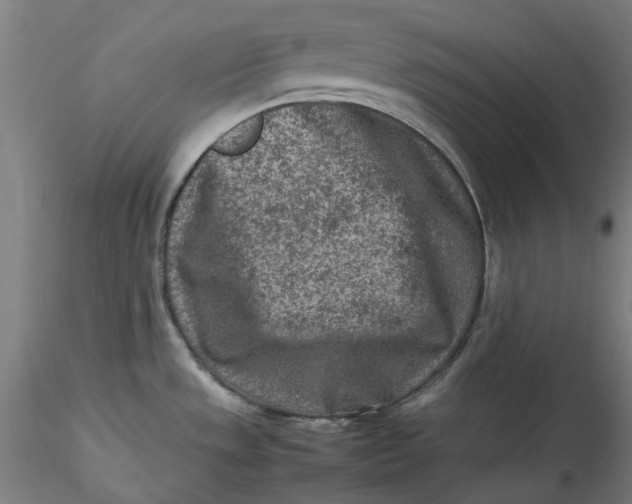 X0000115541533200911271358