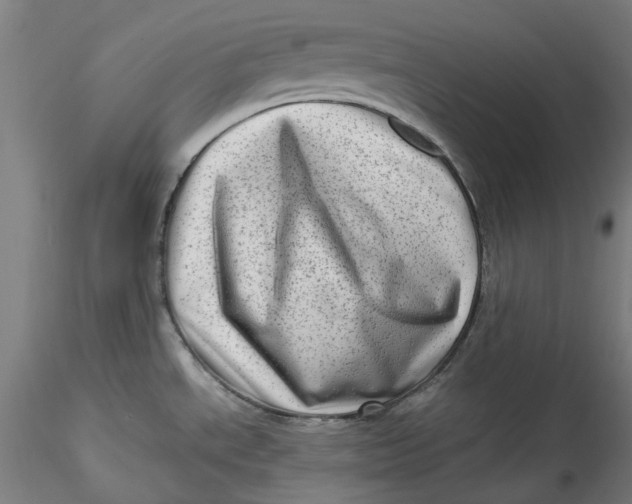 X0000115541534200911271358