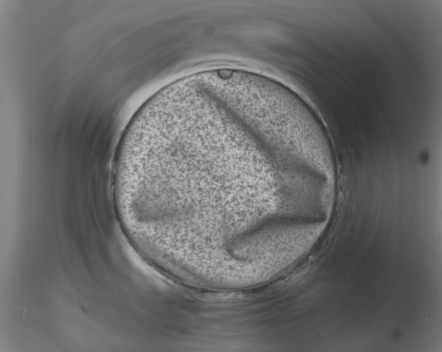 X0000115541535200911271358